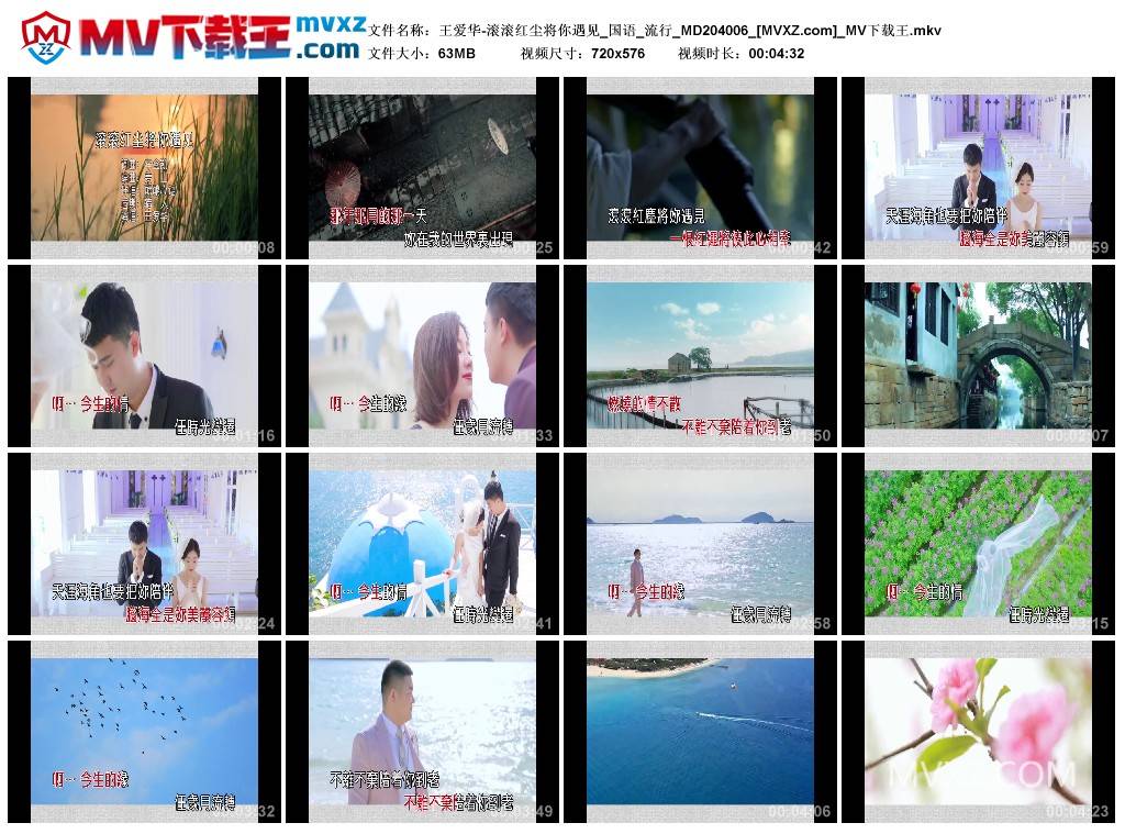 王爱华-滚滚红尘将你遇见_国语_流行_MD204006